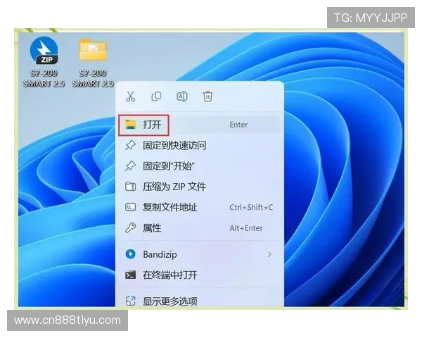 v体育官网入口在线登录入口官方渠道全面解析与使用指南
